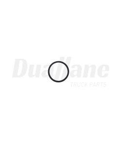 Detroit Sealing Ring | A0289976348
