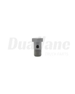 Detroit Diesel Banjo Bolt M10 | N000000004051