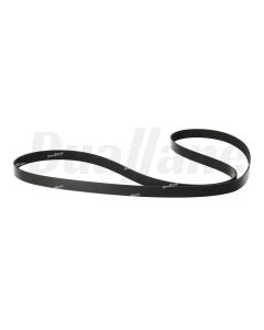 Freightliner 8 Rib, ACSM, 2443mm Fan Belt | 01-23415-036