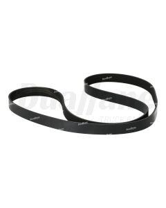 Freightliner 8 Rib Belt, EPDM, Polyester, 2101 MM |01-35643-101