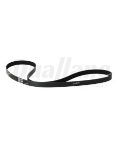 Freightliner 8 Rib, EPDM Poly, 2170mm Belt | 01-35643-170