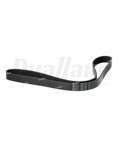 Freightliner 8 Rib Micro V-Belt, 56.0 In |N01 8K560