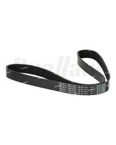 Gates 8-Rib Micro V-Belt, 56.5 In |N01 8K565