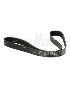 Gates 8 Rib Micro V-Belt, 57.0 IN |N01 8K570