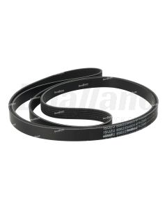 Isuzu Fan Belt | 8982254600
