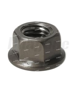 Isuzu Flange Nut, M8 | 8971616070