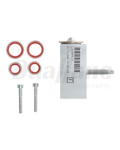 Valeo Expansion Valve Assembly | T1000898P