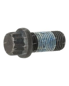 Volvo 1/2" Drive Shaft Bolt | 25101919