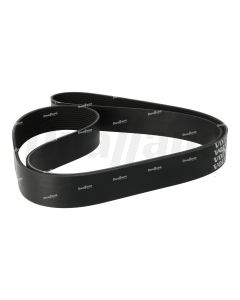 Volvo 12 Rib 2000mm Belt | 23961881