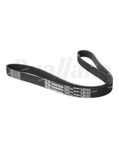 Volvo 8 Rib 1560mm V-Ribbed Belt | 24171420