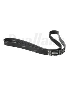 Volvo Alternator Belt | 23857789