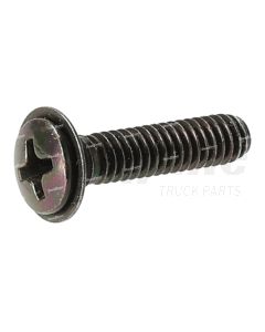 Volvo Cross Recessed Sunk Screw | 3081012