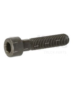 Volvo M10x45 Hex Socket Screw | 20483919