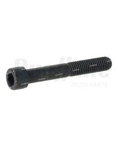 Volvo M12 x 55 Hexagon Socket Screw | 60111183