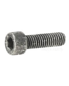 Volvo M6 x 20 Hexagon Socket Screw | 60111689
