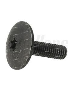 Volvo Six Point Socket Screw | 8143122