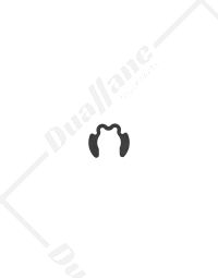 Bendix Snap Ring Slack Adjuster | 804017N