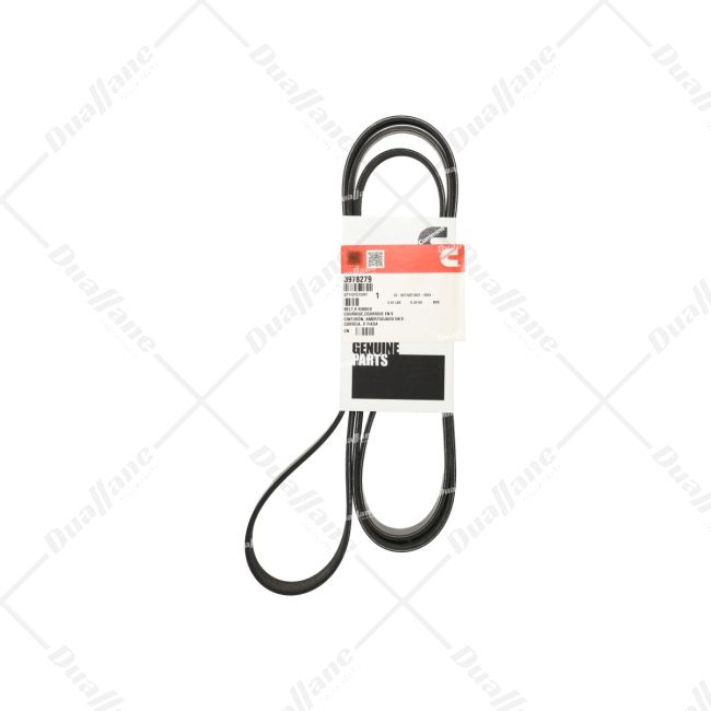 ベルト Purchase Cummins 8 Rib V-Ribbed Belt 2285 mm | 3978279 for