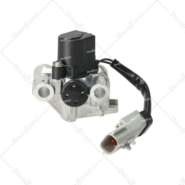 caudex② s-l400.jpg