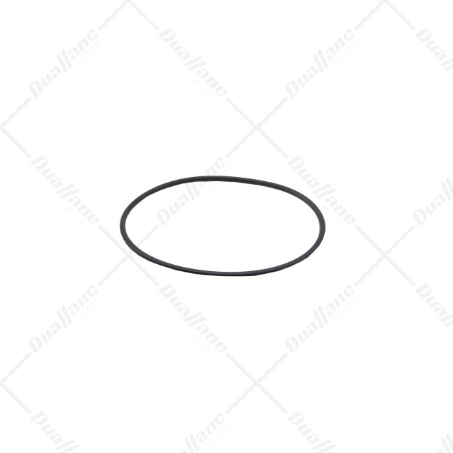 は 新鮮！青パパイヤ10キロ11時20分までの購入で本日発送致し
