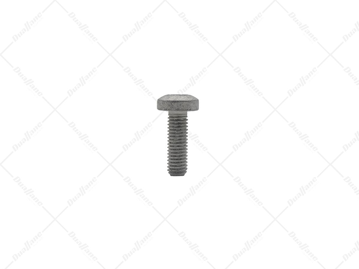 【Maaページ】 Buy Detroit Hexagonal Screw M8X25 8.8 | N000000001428 for $2.74 at