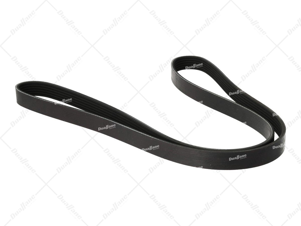 ベル Amazon.com: Galloparts V-Ribbed Belt 23961766 21556639